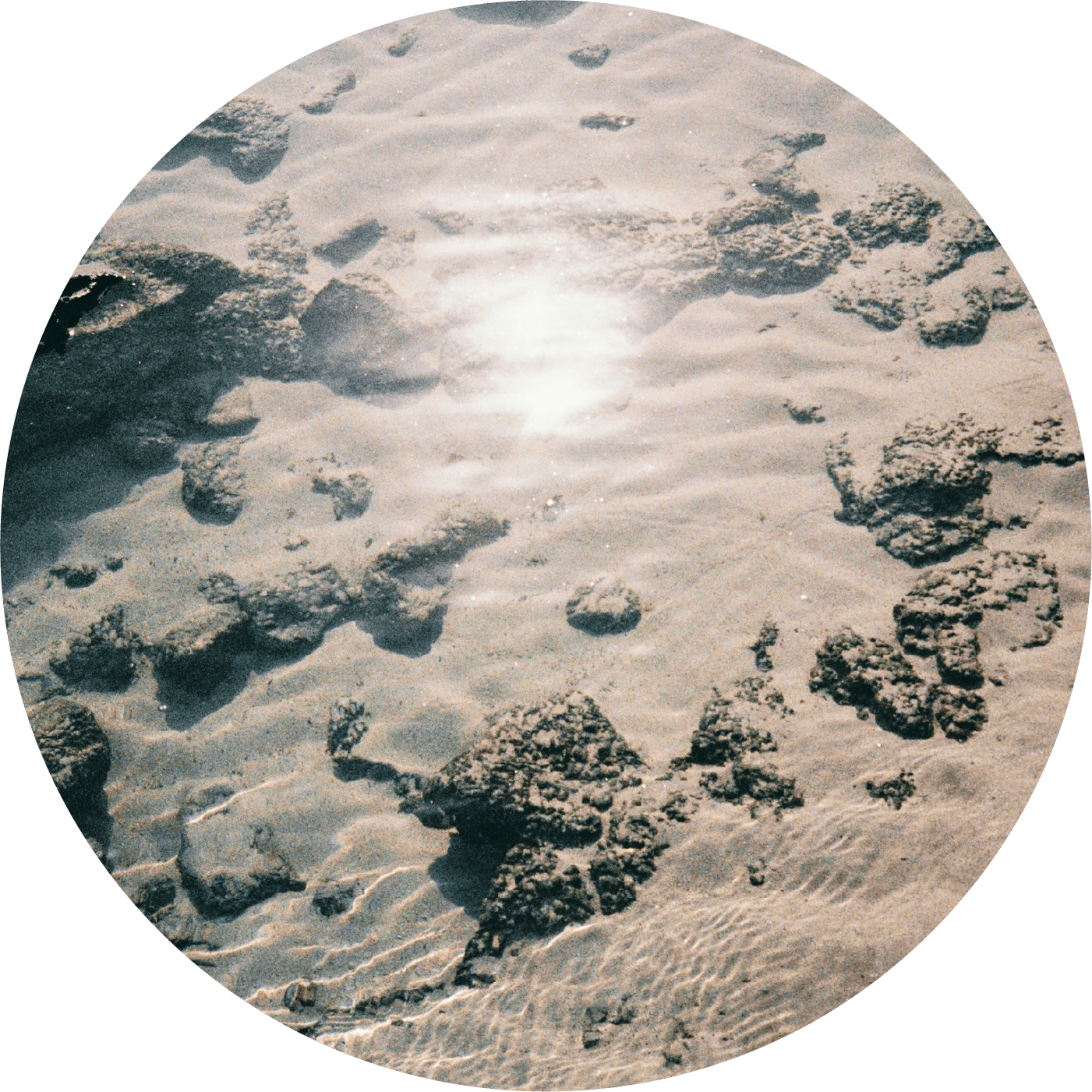 ABOUT image1