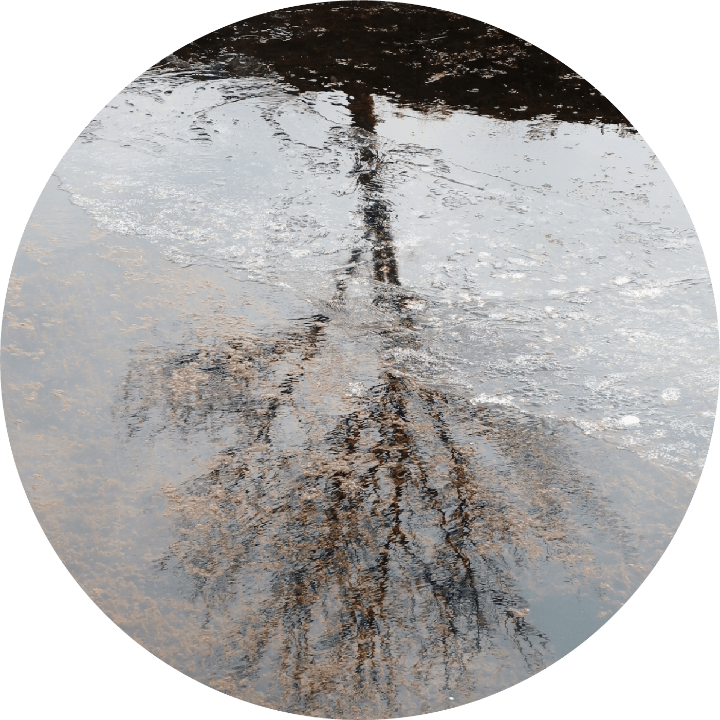 ABOUT image2